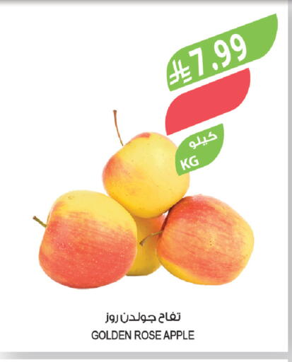 Apple available at Farm  in KSA, Saudi Arabia, Saudi - Tabuk