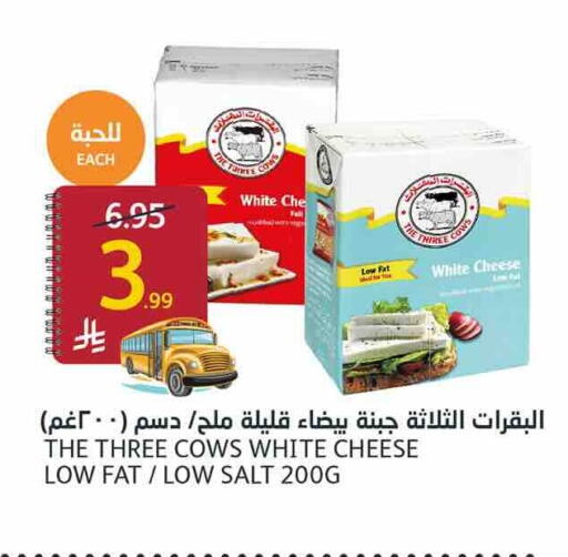available at أسواق الجزيرة in مملكة العربية السعودية, السعودية, سعودية - الرياض