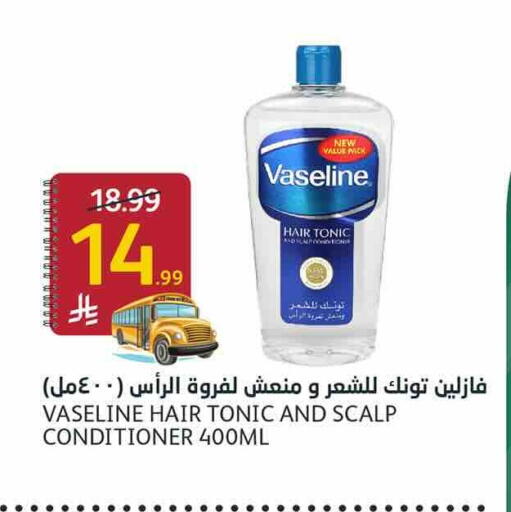 available at أسواق الجزيرة in مملكة العربية السعودية, السعودية, سعودية - الرياض
