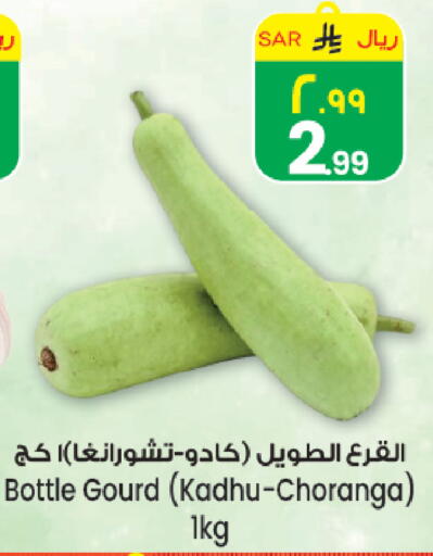 available at ستي فلاور in مملكة العربية السعودية, السعودية, سعودية - الرياض