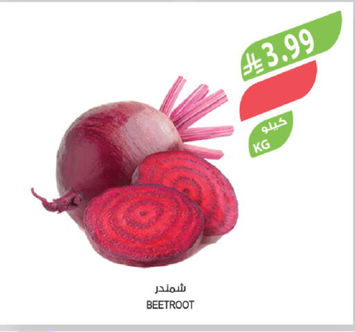 Beetroot available at Farm  in KSA, Saudi Arabia, Saudi - Abha