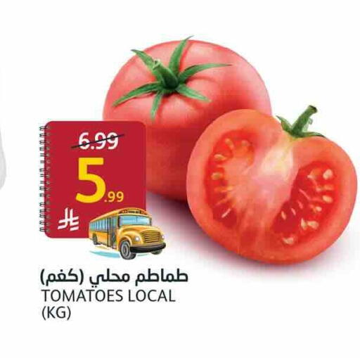 Tomato available at أسواق الجزيرة in مملكة العربية السعودية, السعودية, سعودية - الرياض