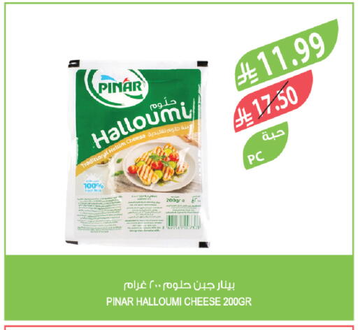 available at المزرعة in مملكة العربية السعودية, السعودية, سعودية - تبوك