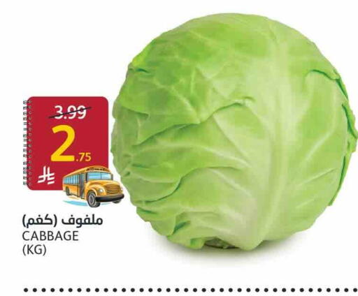 Cabbage available at أسواق الجزيرة in مملكة العربية السعودية, السعودية, سعودية - الرياض