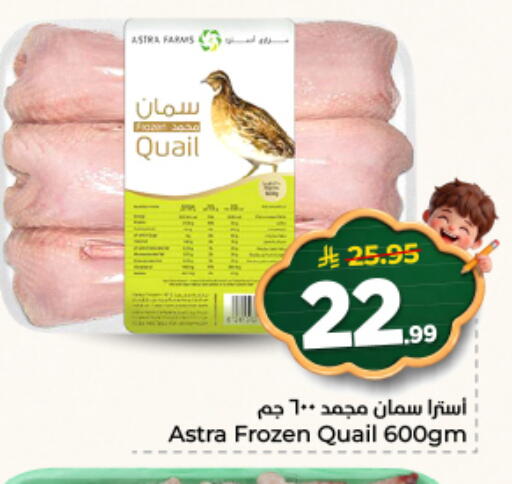 available at نستو in مملكة العربية السعودية, السعودية, سعودية - الخرج