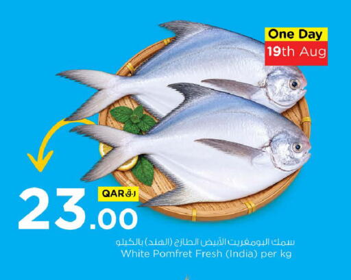 available at Nesto in Qatar - Doha
