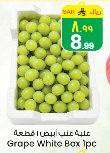 available at City Flower in KSA, Saudi Arabia, Saudi - Hail