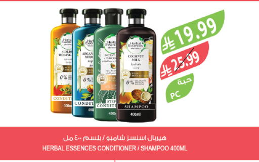 Coconut available at المزرعة in مملكة العربية السعودية, السعودية, سعودية - أبها