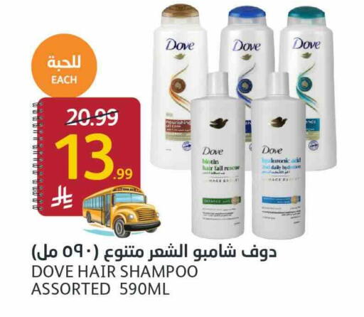 available at أسواق الجزيرة in مملكة العربية السعودية, السعودية, سعودية - الرياض