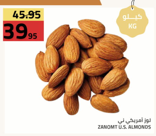 available at Astra Markets in KSA, Saudi Arabia, Saudi - Tabuk