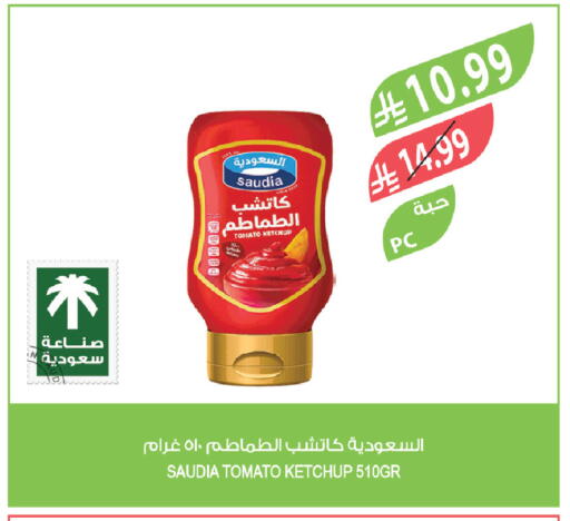 Tomato available at Farm  in KSA, Saudi Arabia, Saudi - Najran