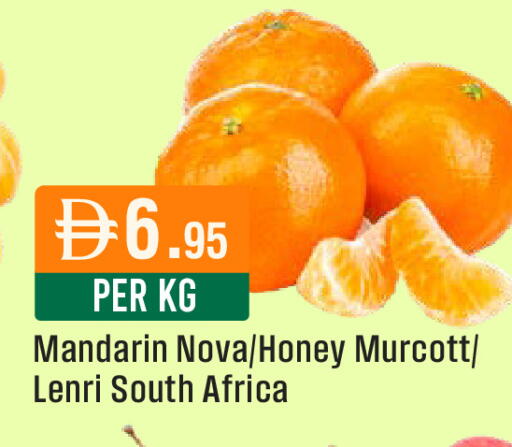 Mandarin from South Africa available at West Zone Supermarket in UAE - Dubai