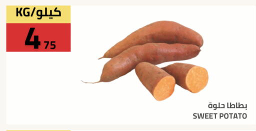 Sweet Potato available at Astra Markets in KSA, Saudi Arabia, Saudi - Tabuk
