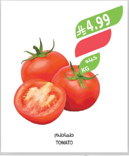 Tomato available at Farm  in KSA, Saudi Arabia, Saudi - Tabuk