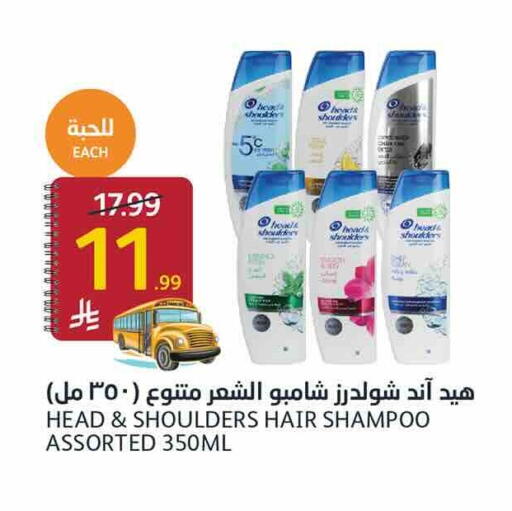 available at أسواق الجزيرة in مملكة العربية السعودية, السعودية, سعودية - الرياض