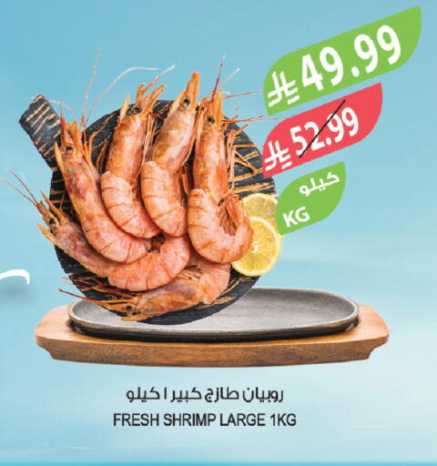 available at Farm  in KSA, Saudi Arabia, Saudi - Tabuk