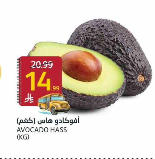 Avocado available at أسواق الجزيرة in مملكة العربية السعودية, السعودية, سعودية - الرياض