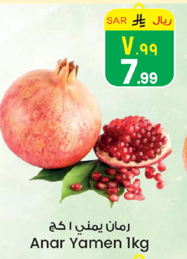 available at City Flower in KSA, Saudi Arabia, Saudi - Hail
