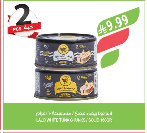 available at المزرعة in مملكة العربية السعودية, السعودية, سعودية - تبوك