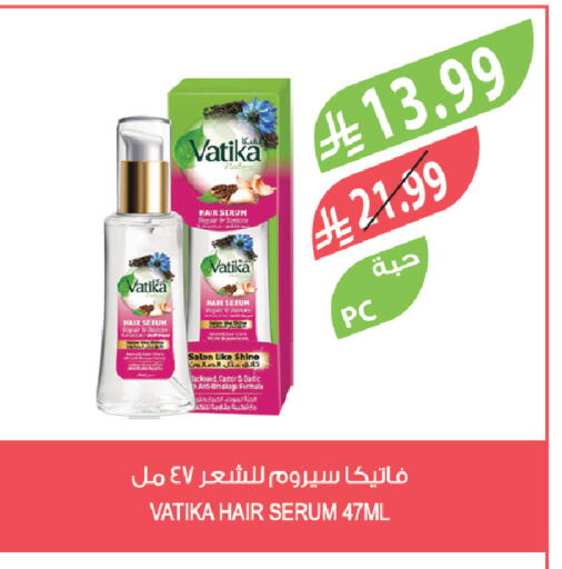 Garlic available at Farm  in KSA, Saudi Arabia, Saudi - Abha