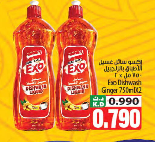 Mango Ginger available at Mango Hypermarket  in Kuwait - Kuwait City