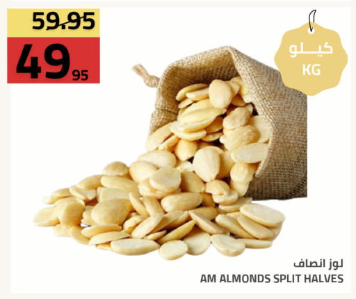 available at Astra Markets in KSA, Saudi Arabia, Saudi - Tabuk