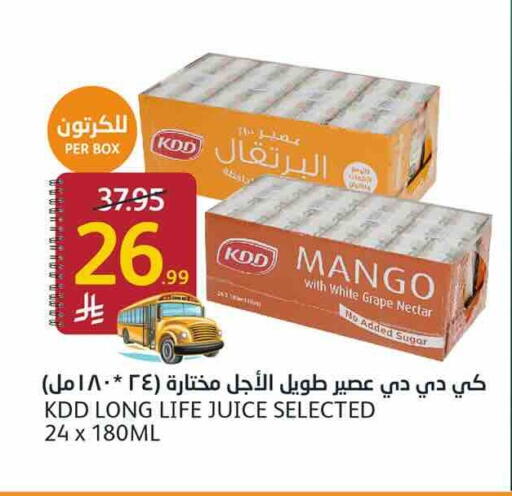 Mango available at أسواق الجزيرة in مملكة العربية السعودية, السعودية, سعودية - الرياض