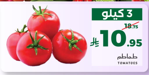 Tomato available at ميرا مارت مول in مملكة العربية السعودية, السعودية, سعودية - جدة
