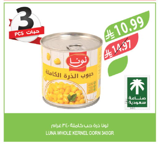 available at Farm  in KSA, Saudi Arabia, Saudi - Abha