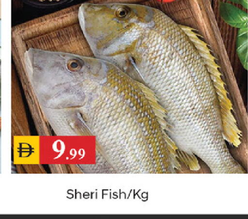 available at TALAL MARKET in UAE - Dubai