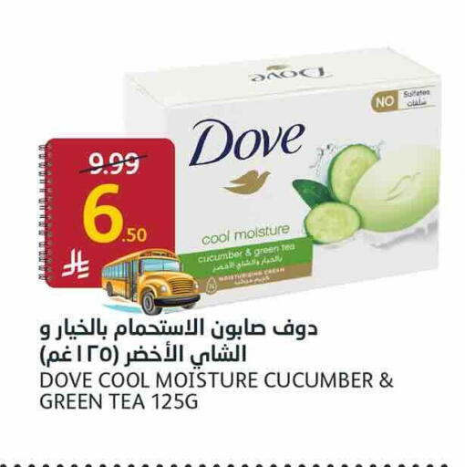 Cucumber available at AlJazera Shopping Center in KSA, Saudi Arabia, Saudi - Riyadh