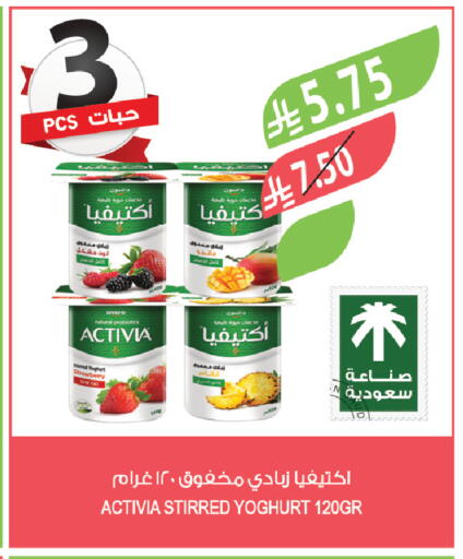 Strawberry available at Farm  in KSA, Saudi Arabia, Saudi - Abha