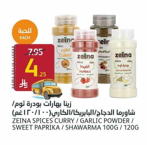 Paprika Garlic available at أسواق الجزيرة in مملكة العربية السعودية, السعودية, سعودية - الرياض