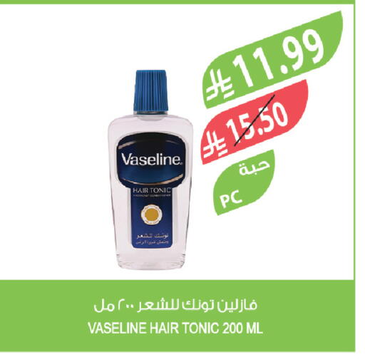 available at Farm  in KSA, Saudi Arabia, Saudi - Abha