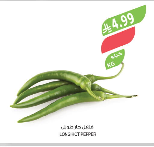 Pepper available at Farm  in KSA, Saudi Arabia, Saudi - Abha