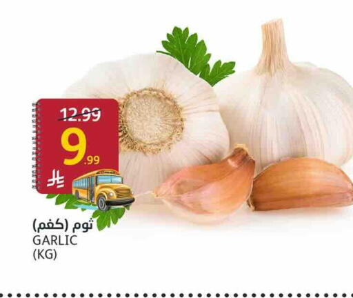 Garlic available at أسواق الجزيرة in مملكة العربية السعودية, السعودية, سعودية - الرياض