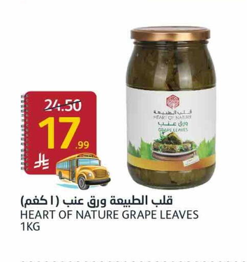 available at أسواق الجزيرة in مملكة العربية السعودية, السعودية, سعودية - الرياض