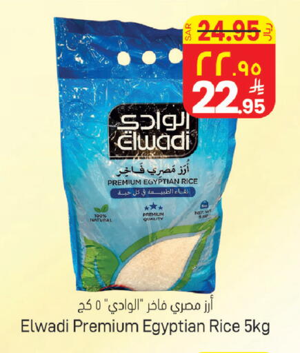 available at City Flower in KSA, Saudi Arabia, Saudi - Sakaka