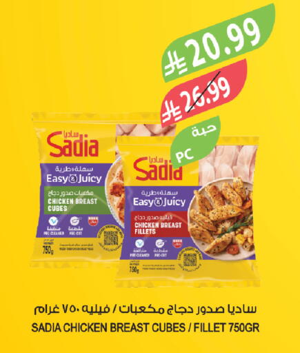 available at المزرعة in مملكة العربية السعودية, السعودية, سعودية - تبوك
