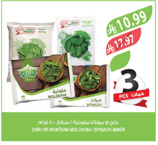 Spinach available at Farm  in KSA, Saudi Arabia, Saudi - Abha