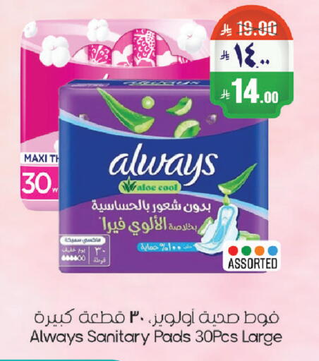 available at ستي فلاور in مملكة العربية السعودية, السعودية, سعودية - الرياض
