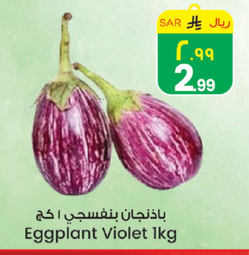 Eggplant available at ستي فلاور in مملكة العربية السعودية, السعودية, سعودية - سكاكا