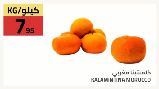 available at Astra Markets in KSA, Saudi Arabia, Saudi - Tabuk