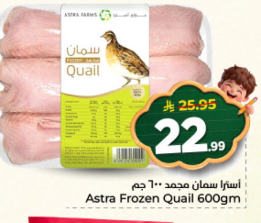 available at نستو in مملكة العربية السعودية, السعودية, سعودية - المجمعة