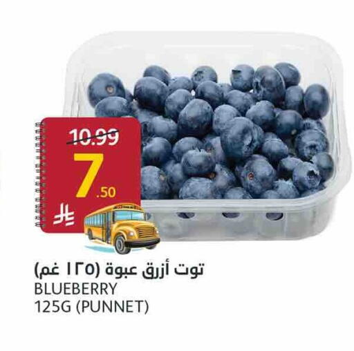 Blueberry BlueBerry available at أسواق الجزيرة in مملكة العربية السعودية, السعودية, سعودية - الرياض