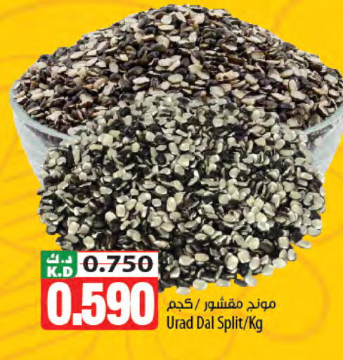 Mango available at Mango Hypermarket  in Kuwait - Kuwait City