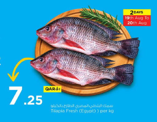 available at Nesto in Qatar - Doha