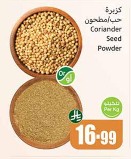 Coriander available at Othaim Markets in KSA, Saudi Arabia, Saudi - Al-Kharj