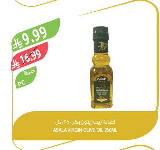 available at Farm  in KSA, Saudi Arabia, Saudi - Abha