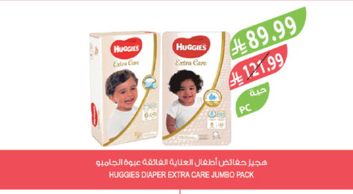 available at Farm  in KSA, Saudi Arabia, Saudi - Tabuk
